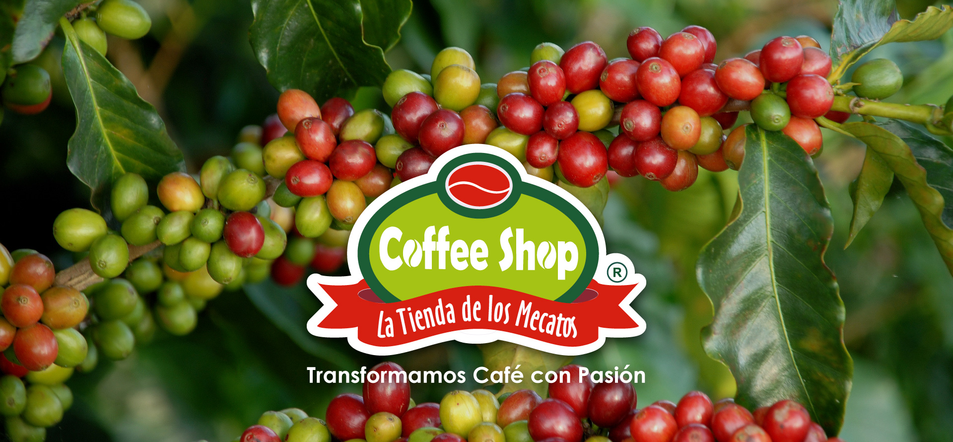Logo coffee shop